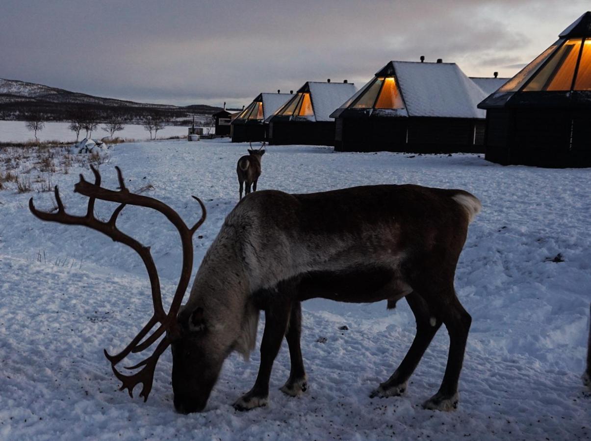 Arctic Land Adventure Glass Igloos Kilpisjärvi Zewnętrze zdjęcie