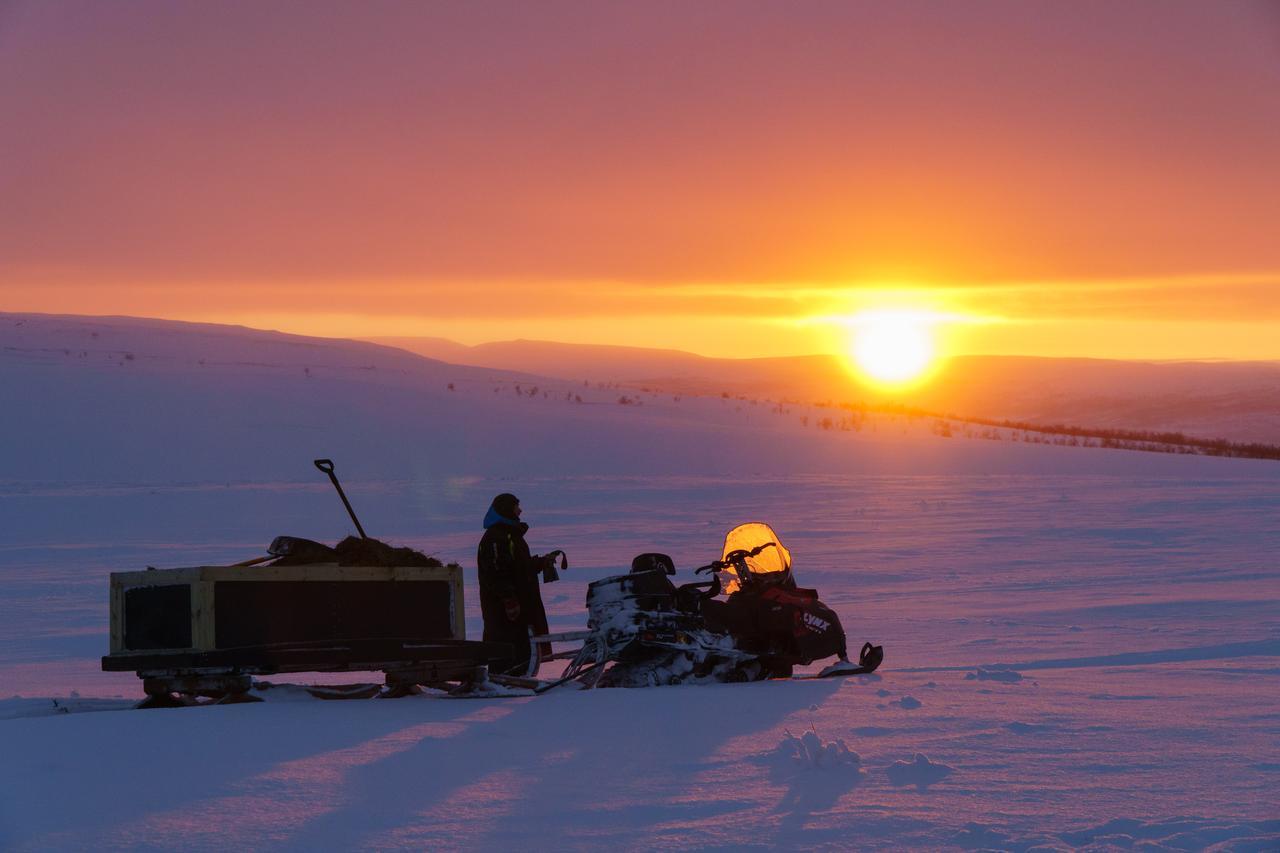 Arctic Land Adventure Glass Igloos Kilpisjärvi Zewnętrze zdjęcie