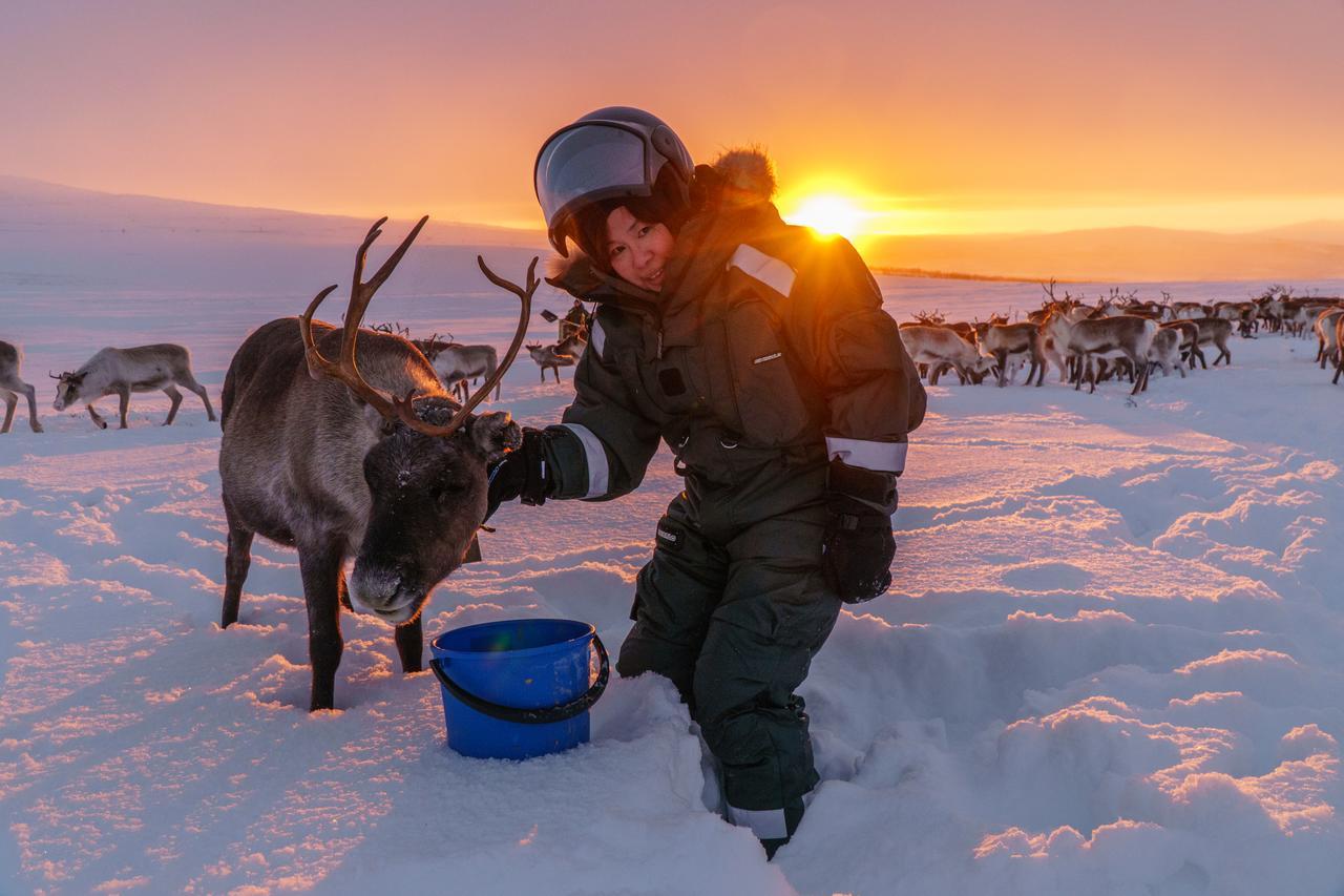 Arctic Land Adventure Glass Igloos Kilpisjärvi Zewnętrze zdjęcie