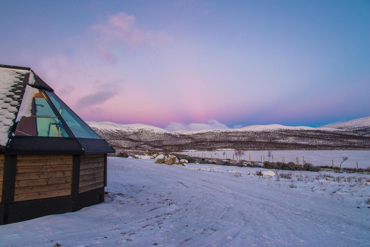 Arctic Land Adventure Glass Igloos Kilpisjärvi Zewnętrze zdjęcie