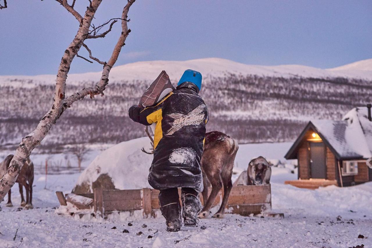 Arctic Land Adventure Glass Igloos Kilpisjärvi Zewnętrze zdjęcie